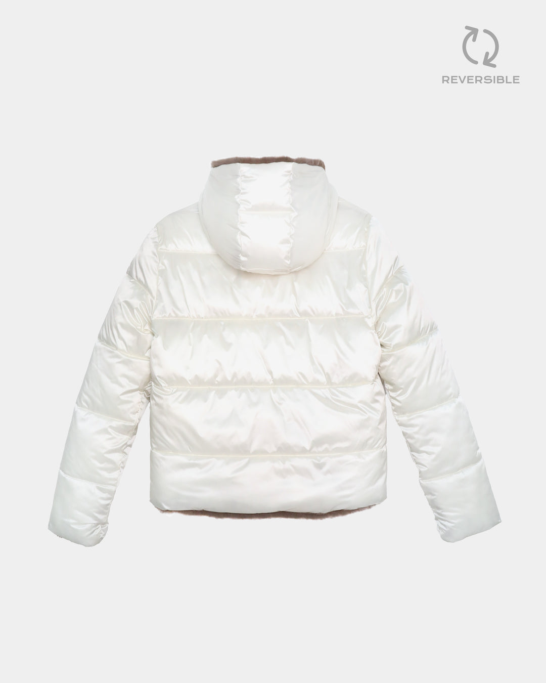 #colore_fossil-off-white